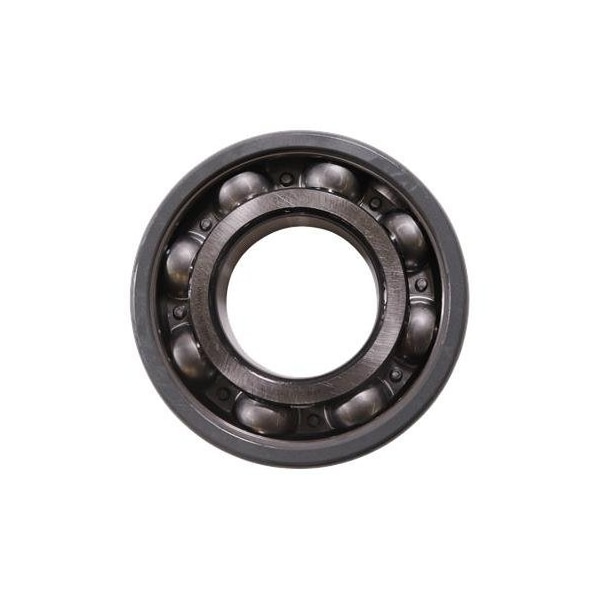 Pump Repair Parts- Spare, BALL BEARING 6317 C3 electric.